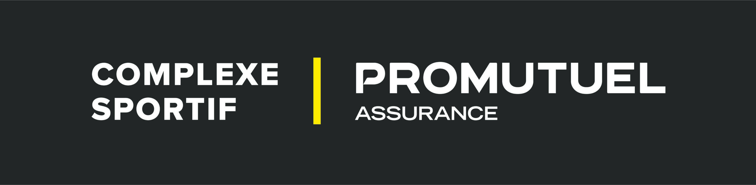 Cmyk 300ppi cspromutuel hori gris